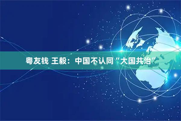 粤友钱 王毅：中国不认同“大国共治”