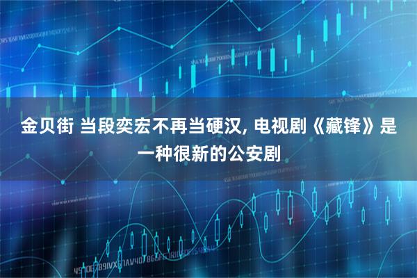 金贝街 当段奕宏不再当硬汉, 电视剧《藏锋》是一种很新的公安剧